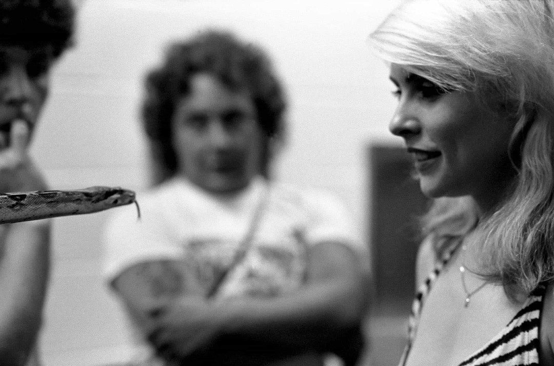 Debbie Harry and The Serpent