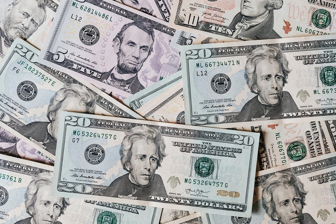 How to Play in a Rock Band, 14: Show Me the Money!